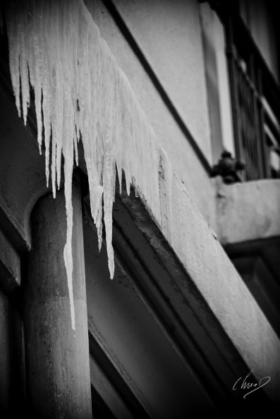 lyon-glace_7866